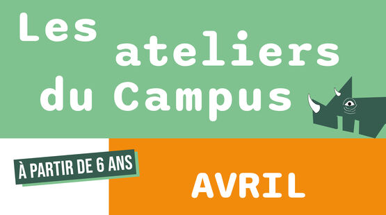 VOIR TOUTES LES ACTUALITÉS