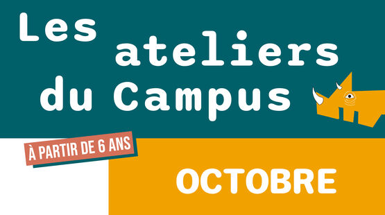 VOIR TOUTES LES ACTUALITÉS