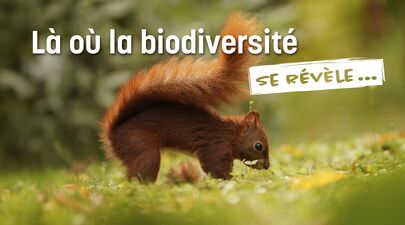 Réouverture de la Gare des Ramières, maison de la Réserve, le 4 avril 2026 : une nouvelle saison démarre !