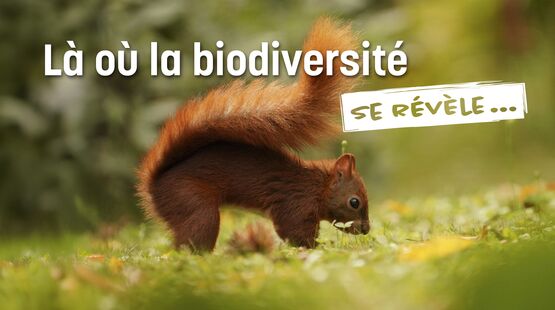 VOIR TOUTES LES ACTUALITÉS