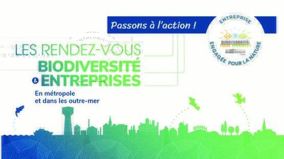 VOIR TOUTES LES ACTUALITÉS