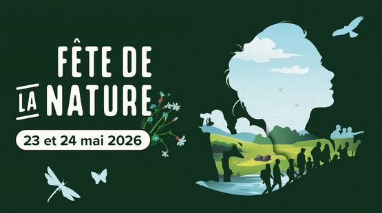 VOIR TOUTES LES ACTUALITÉS