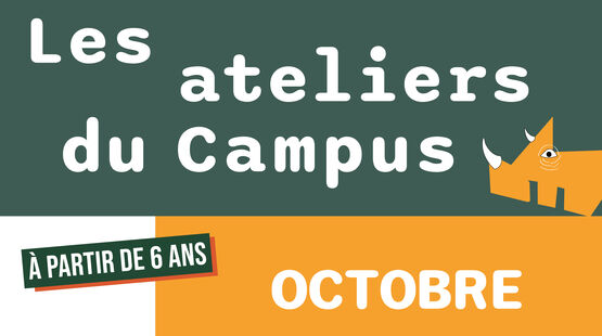 VOIR TOUTES LES ACTUALITÉS
