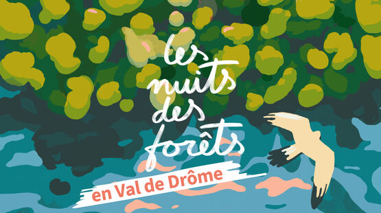 VOIR TOUTES LES ACTUALITÉS