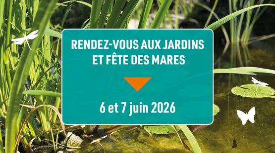 VOIR TOUTES LES ACTUALITÉS
