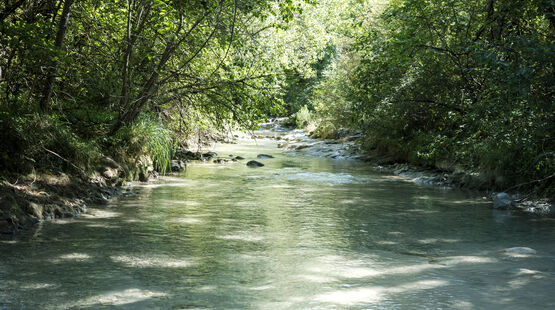 VOIR TOUTES LES ACTUALITÉS